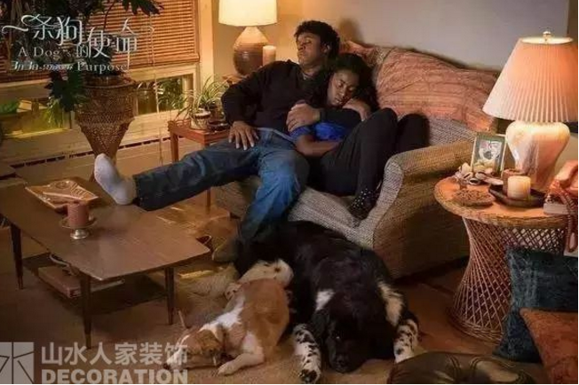 看電影.學(xué)裝修：因?yàn)橛心?，所以有意義
